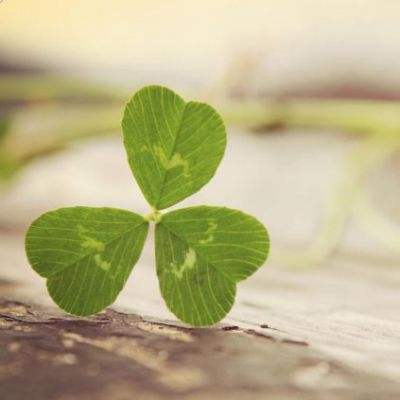 ManBetX客户端登录app下载