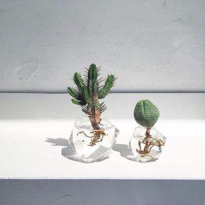 开全站登录appapp下载